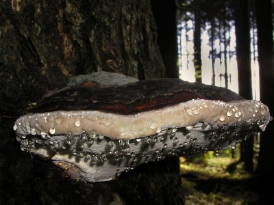 PA020259.jpg