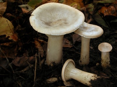 PA100404.jpg