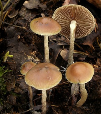 PA230479.jpg