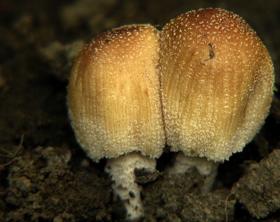RSCN0780.jpg