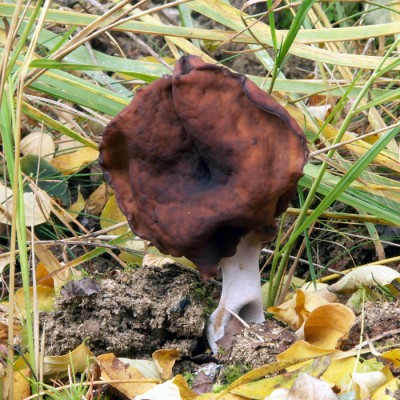 uchaccepcovity01_117.jpg