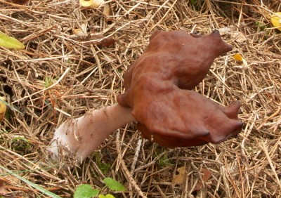 uchaccepcovity07_208.jpg